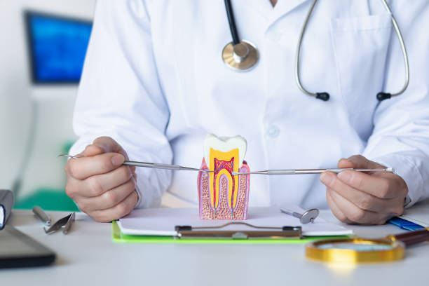 Best Same-Day Emergency Dental Services in Ettrick, VA